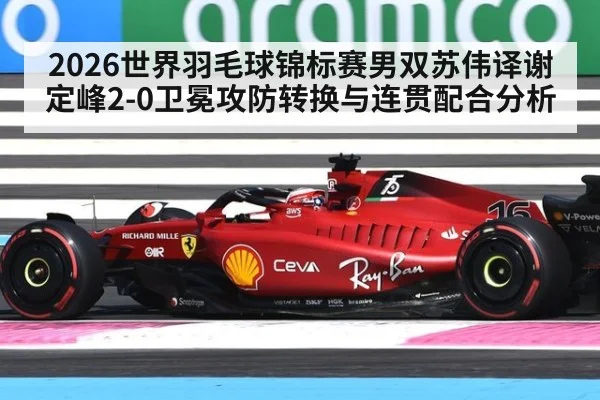 2026世界羽毛球锦标赛男双苏伟译谢定峰2-0卫冕攻防转换与连贯配合分析