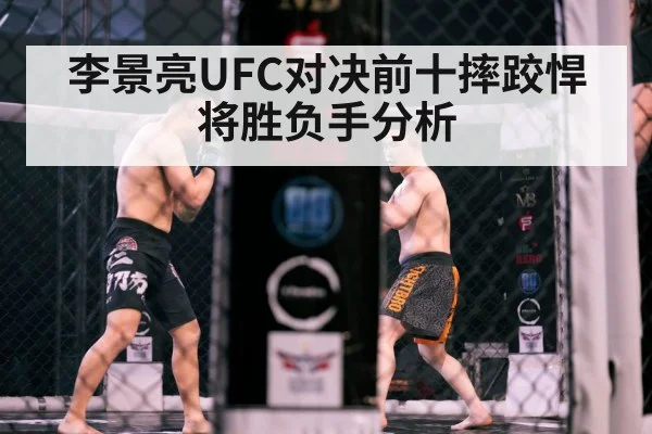 MMA octagon action